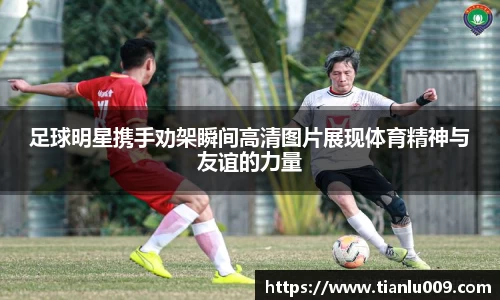 足球明星携手劝架瞬间高清图片展现体育精神与友谊的力量