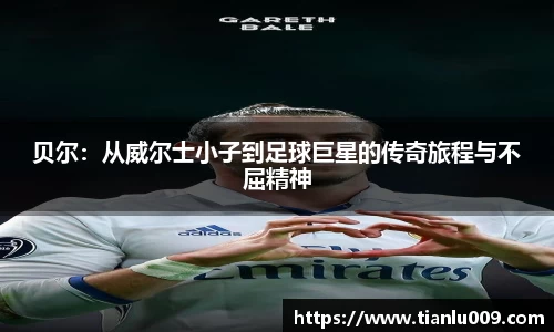 完美体育登录入口