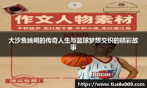 完美体育登录入口