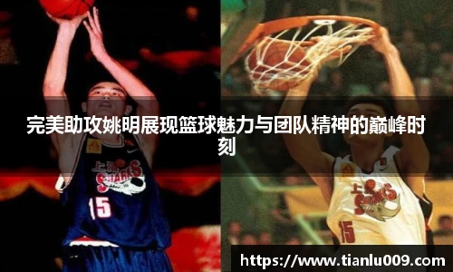 完美体育登录入口