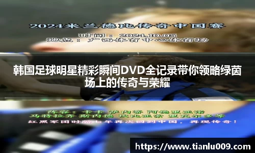 韩国足球明星精彩瞬间DVD全记录带你领略绿茵场上的传奇与荣耀