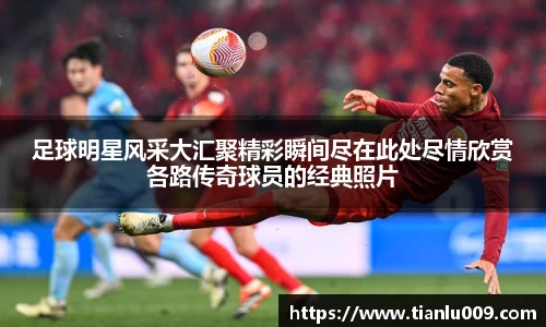 完美体育登录入口