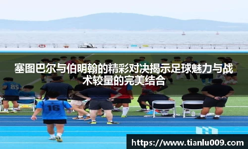 完美体育